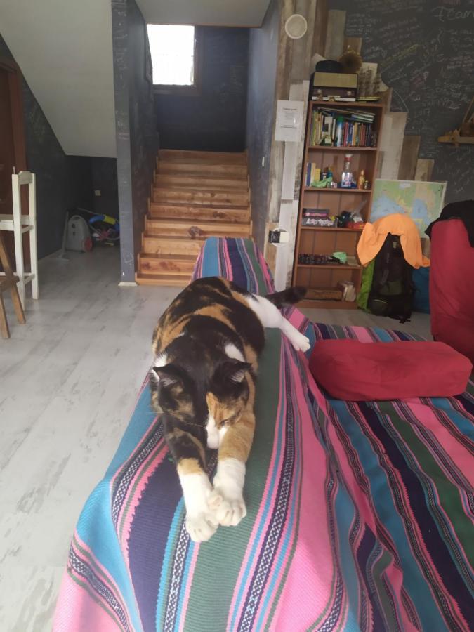 Chillsteps Hostel Fethiye Extérieur photo