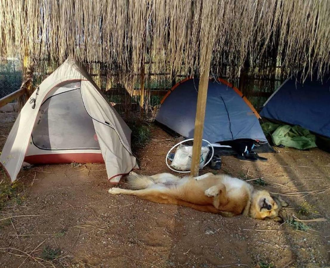 Chillsteps Hostel Fethiye Extérieur photo